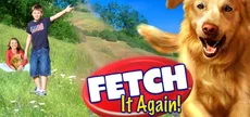 Fetch It Again