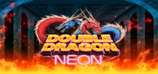 Double Dragon: Neon