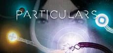 Particulars