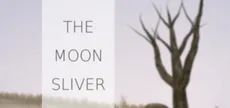 The Moon Sliver