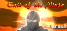 Call of the Ninja!