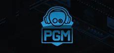 Pro Gamer Manager