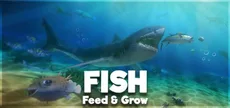 Feed and Grow: Fish