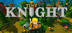 Tiny Knight