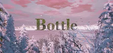 Bottle (2016)