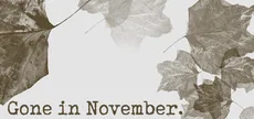 Gone In November