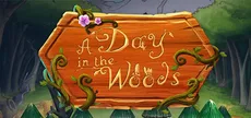 A Day in the Woods