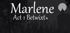Marlene Betwixt