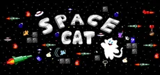 Space Cat