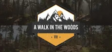 A Walk in the Woods
