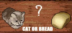 Cat or Bread?
