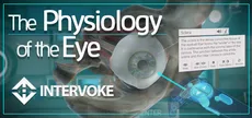 The Physiology of the Eye