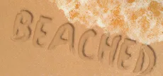 Beached