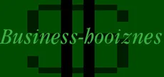 Business-hooiznes