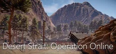 Desert Strait: Operation Online