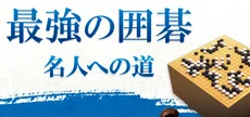 最強の囲碁 ～名人への道～ / Igo Meijin