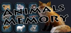 Animals Memory