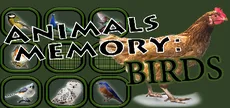 Animals Memory: Birds