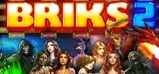 BRIKS 2