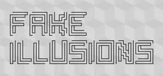 Fake Illusions
