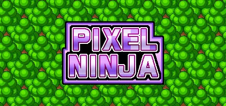 Pixel Ninja