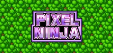 Pixel Ninja