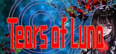 月之泪 ～ Tears of Luna
