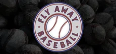 Fly Away Baseball