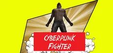 Cyberpunk Fighter