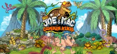 New Joe & Mac - Caveman Ninja