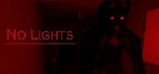 No Lights