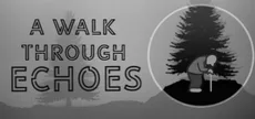 A Walk Through Echoes